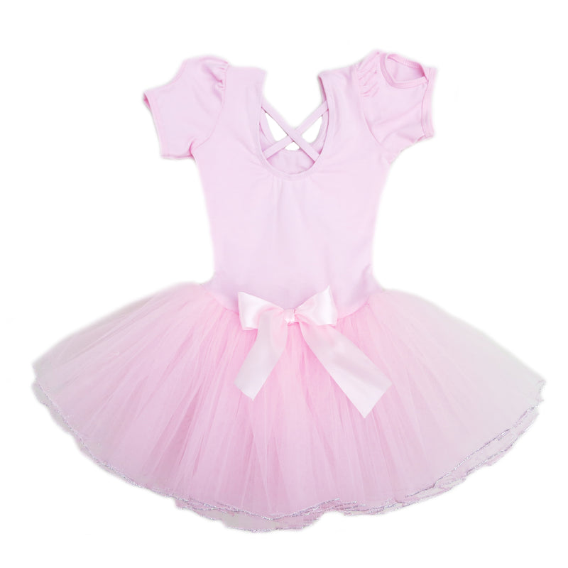 Pink Rhinestone Dress Silver Trim Ballet Dress