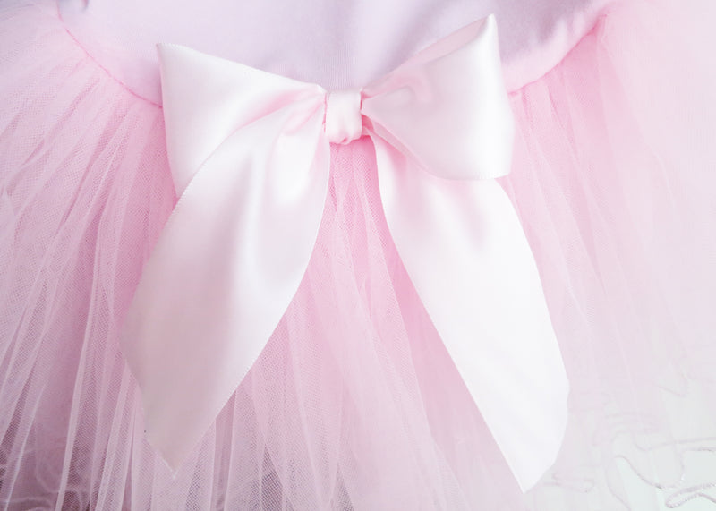 Pink Rhinestone Dress Silver Trim Ballet Dress