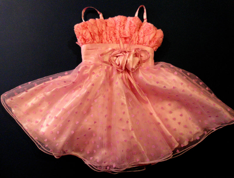 Pink Hearts & Roses Dress