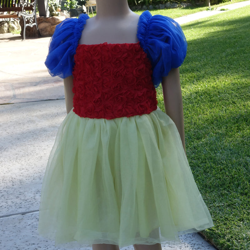 Blue-Red-Yellow Rose Lace Princess Dress