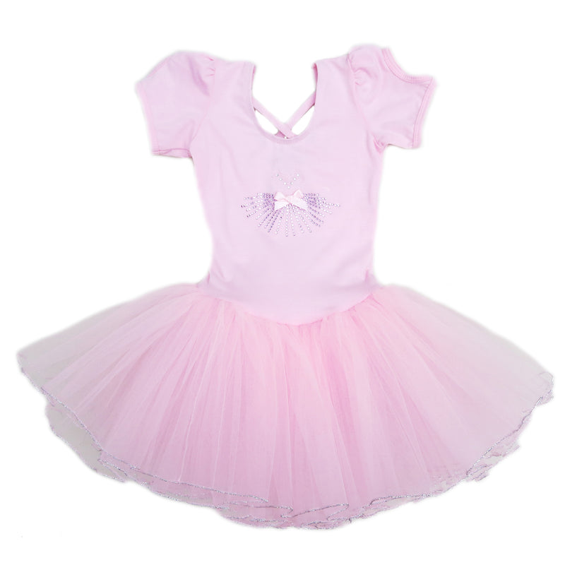 Pink Rhinestone Dress Silver Trim Ballet Dress