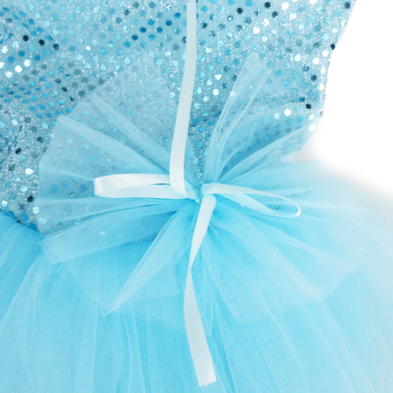 Baby Blue Sequins Lace Silver Trim Ballet Dress