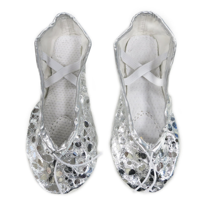 Silver Ballet Shoes