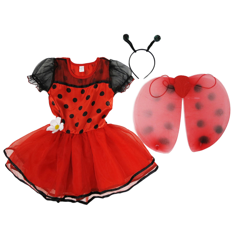Ladybug Set