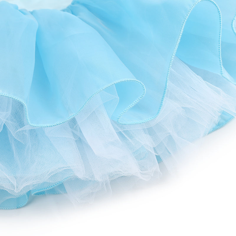 Baby Blue Snowflake Sequin Ballet Dress