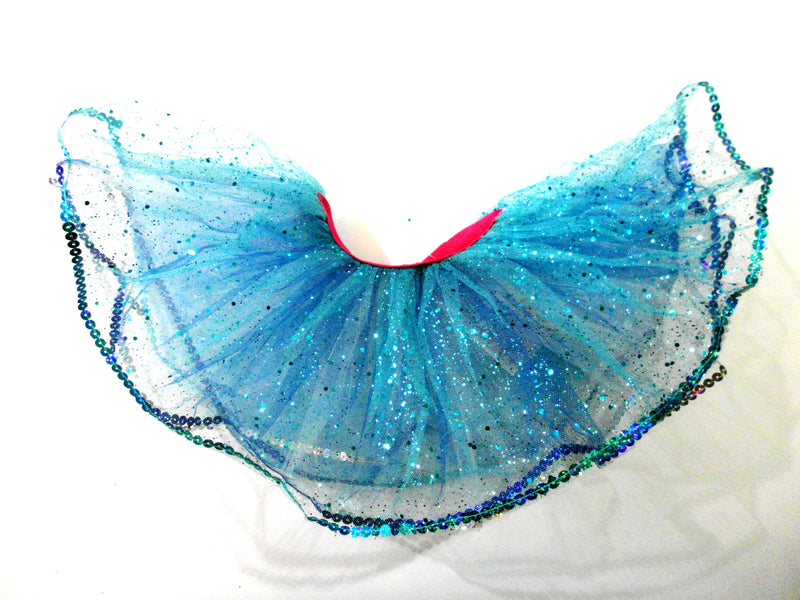 Cinderella Glitter Reversible Tutu
